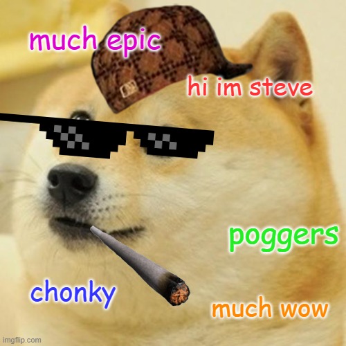 scumbag doge | much epic; hi im steve; poggers; chonky; much wow | image tagged in memes,doge | made w/ Imgflip meme maker