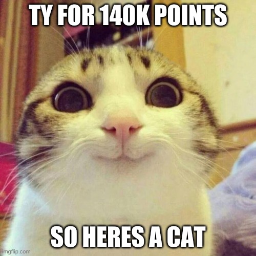 tysm | TY FOR 140K POINTS; SO HERES A CAT | image tagged in memes,smiling cat,tysm | made w/ Imgflip meme maker