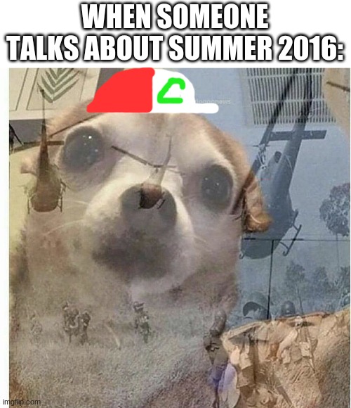The nightmares... The horror... The crimes... And the deaths | WHEN SOMEONE TALKS ABOUT SUMMER 2016: | image tagged in ptsd chihuahua,memes,pokemon | made w/ Imgflip meme maker