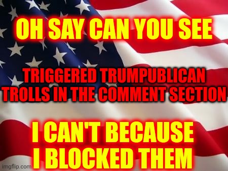 American flag | OH SAY CAN YOU SEE TRIGGERED TRUMPUBLICAN TROLLS IN THE COMMENT SECTION I CAN'T BECAUSE I BLOCKED THEM | image tagged in american flag | made w/ Imgflip meme maker