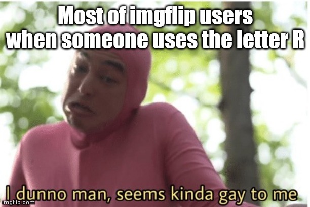 I dunno man seems kinda gay to me | Most of imgflip users when someone uses the letter R | image tagged in i dunno man seems kinda gay to me | made w/ Imgflip meme maker