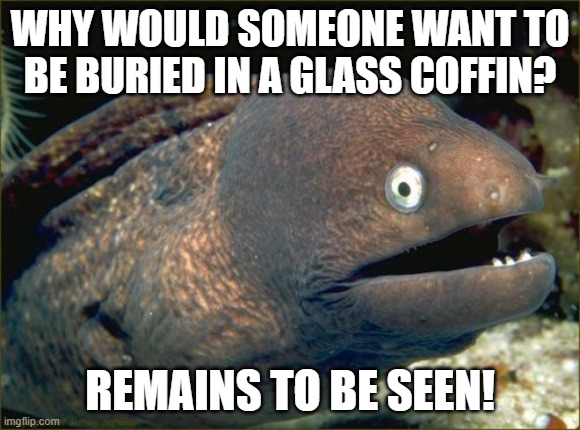 Bad Joke Eel Meme | WHY WOULD SOMEONE WANT TO BE BURIED IN A GLASS COFFIN? REMAINS TO BE SEEN! | image tagged in memes,bad joke eel | made w/ Imgflip meme maker