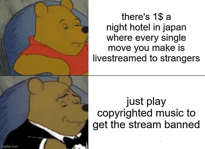 Yes | there's 1$ a night hotel in japan where every single move you make is livestreamed to strangers; just play copyrighted music to get the stream banned | image tagged in memes,tuxedo winnie the pooh | made w/ Imgflip meme maker