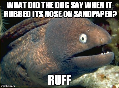 Bad Joke Eel Meme | WHAT DID THE DOG SAY WHEN IT RUBBED ITS NOSE ON SANDPAPER? RUFF | image tagged in memes,bad joke eel | made w/ Imgflip meme maker