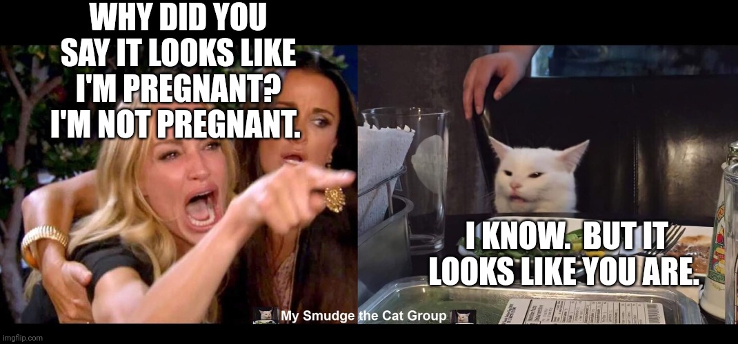 WHY DID YOU SAY IT LOOKS LIKE I'M PREGNANT? I'M NOT PREGNANT. I KNOW.  BUT IT LOOKS LIKE YOU ARE. | image tagged in smudge the cat | made w/ Imgflip meme maker