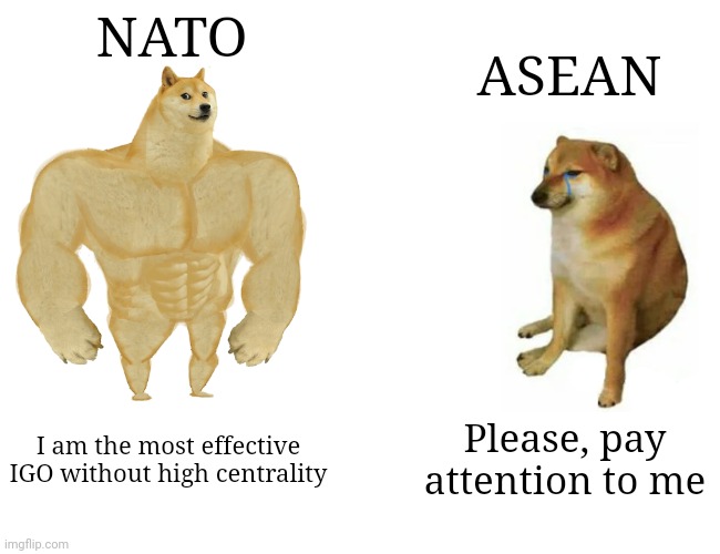 NATO vs ASEAN | NATO; ASEAN; Please, pay attention to me; I am the most effective IGO without high centrality | image tagged in memes,buff doge vs cheems | made w/ Imgflip meme maker