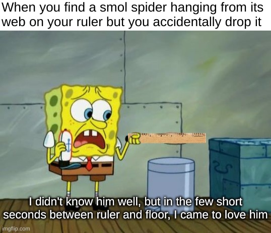 goodbye my friend | When you find a smol spider hanging from its
web on your ruler but you accidentally drop it; I didn't know him well, but in the few short seconds between ruler and floor, I came to love him | image tagged in spider,spiders,spongebob,pain,memes,relatable | made w/ Imgflip meme maker