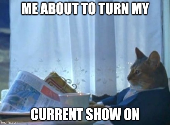 I Should Buy A Boat Cat Meme | ME ABOUT TO TURN MY; CURRENT SHOW ON | image tagged in memes,i should buy a boat cat | made w/ Imgflip meme maker