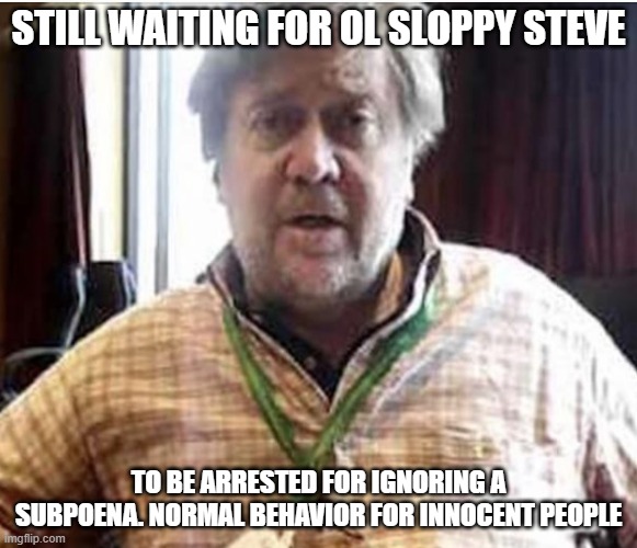 President Steve Bannon | STILL WAITING FOR OL SLOPPY STEVE; TO BE ARRESTED FOR IGNORING A SUBPOENA. NORMAL BEHAVIOR FOR INNOCENT PEOPLE | image tagged in president steve bannon | made w/ Imgflip meme maker