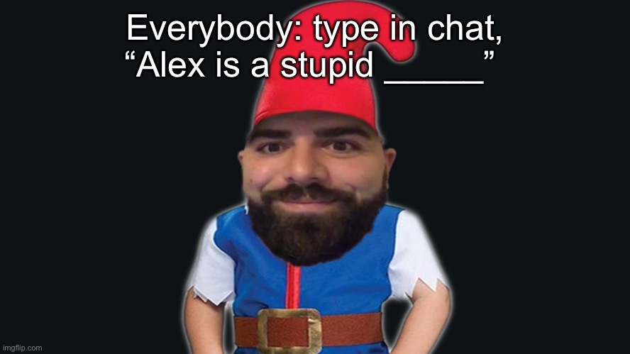 fill in the blank | Everybody: type in chat, “Alex is a stupid _____” | made w/ Imgflip meme maker