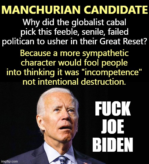 Barack Obama and Valerie Jarrett are dismantling America, brick by brick. | MANCHURIAN CANDIDATE; Why did the globalist cabal pick this feeble, senile, failed politican to usher in their Great Reset? Because a more sympathetic character would fool people into thinking it was "incompetence" not intentional destruction. FUCK
JOE
BIDEN | image tagged in confused joe biden,nwo,globalists,depopulation,surveillance state | made w/ Imgflip meme maker