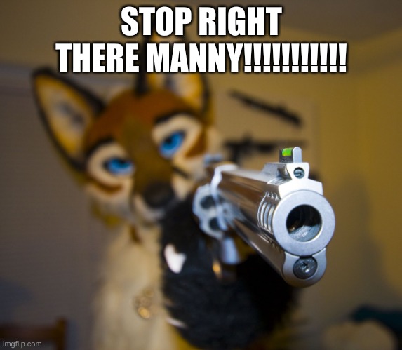 Furry with gun | STOP RIGHT THERE MANNY!!!!!!!!!!! | image tagged in furry with gun | made w/ Imgflip meme maker