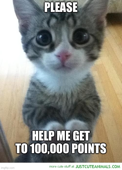I’m on that grind to 100,000 points and I’m sooooo close. Could y’all help me out? | PLEASE; HELP ME GET TO 100,000 POINTS | image tagged in cute kitty begging 2,upvote begging | made w/ Imgflip meme maker