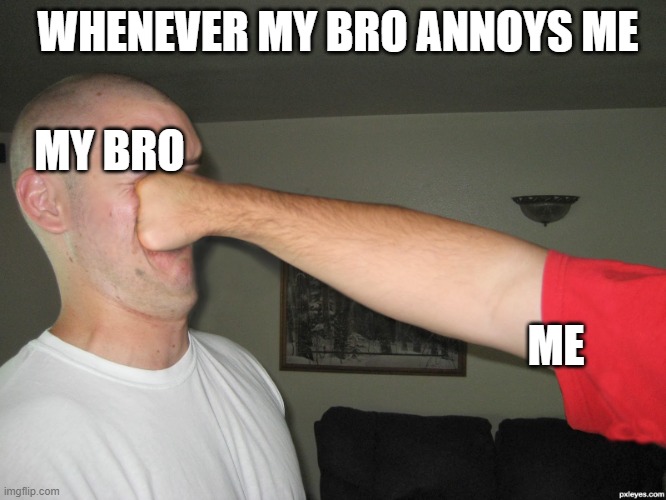 i have a younger bro, so i can do whatever i want lol |  WHENEVER MY BRO ANNOYS ME; MY BRO; ME | image tagged in face punch | made w/ Imgflip meme maker