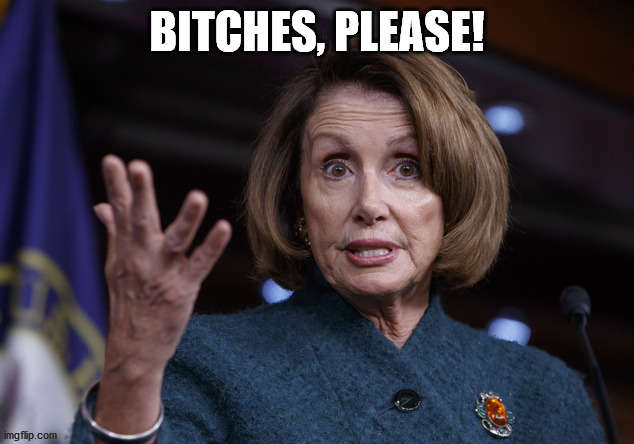 Good old Nancy Pelosi | BITCHES, PLEASE! | image tagged in good old nancy pelosi | made w/ Imgflip meme maker