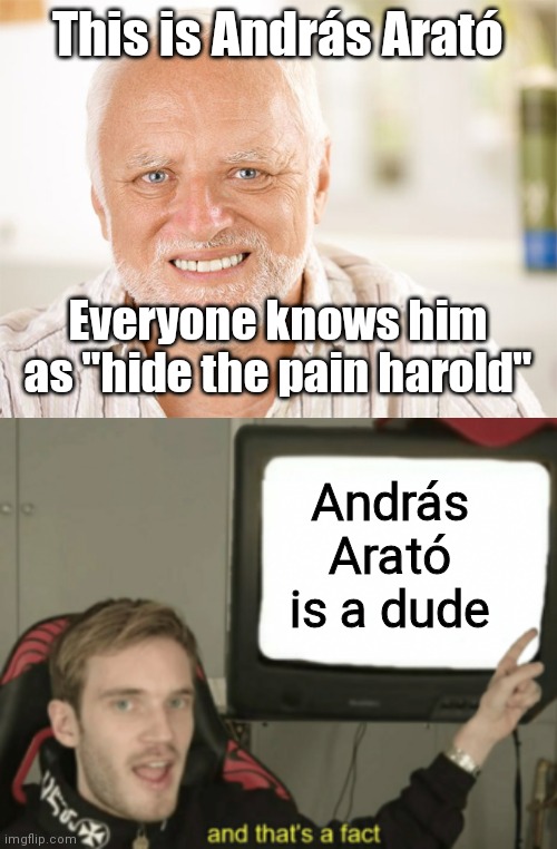 This is András Arató; Everyone knows him as "hide the pain harold"; András Arató is a dude | image tagged in awkward smiling old man,and that's a fact | made w/ Imgflip meme maker