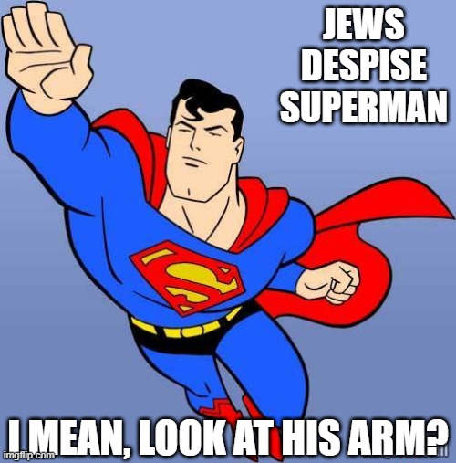 Zeig Heil | JEWS DESPISE SUPERMAN; I MEAN, LOOK AT HIS ARM? | image tagged in superman | made w/ Imgflip meme maker