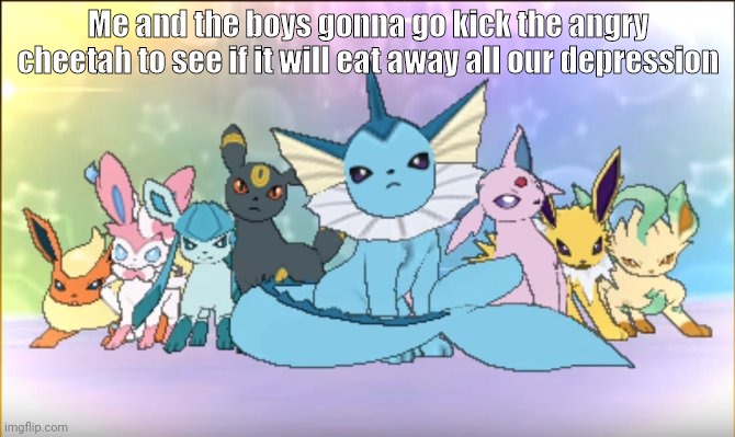 Pokemon sun moon eevee squad | Me and the boys gonna go kick the angry cheetah to see if it will eat away all our depression | image tagged in pokemon sun moon eevee squad | made w/ Imgflip meme maker