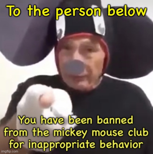 E | To the person below | image tagged in banned from the mickey mouse club | made w/ Imgflip meme maker