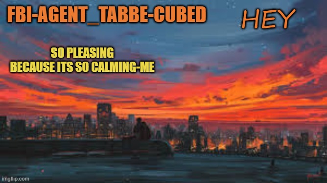 UNTIL WE MEET AGAIN | HEY | image tagged in my sunset temp p | made w/ Imgflip meme maker