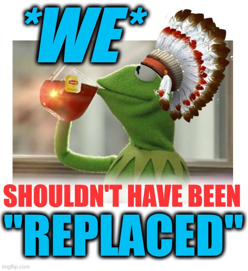 the end is near | *WE*; SHOULDN'T HAVE BEEN; "REPLACED" | image tagged in native american kermit,we will not be replaced,qanon,white nationalism,victim culture,conservative hypocrisy | made w/ Imgflip meme maker