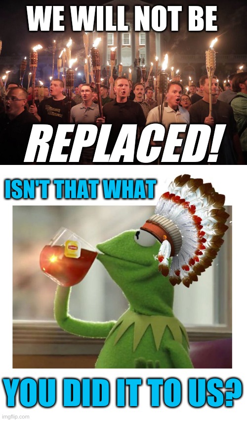 not even europe wants them back |  WE WILL NOT BE; REPLACED! ISN'T THAT WHAT; YOU DID IT TO US? | image tagged in native american kermit,white power,white nationalism,we will not be replaced,wwg1wga,native american | made w/ Imgflip meme maker