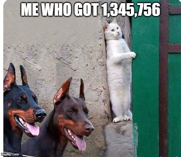 Hidden cat | ME WHO GOT 1,345,756 | image tagged in hidden cat | made w/ Imgflip meme maker