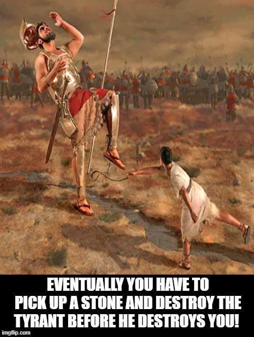 Eventually you have to pick up a stone! |  EVENTUALLY YOU HAVE TO PICK UP A STONE AND DESTROY THE TYRANT BEFORE HE DESTROYS YOU! | image tagged in tyrant,morons,stupid liberals | made w/ Imgflip meme maker