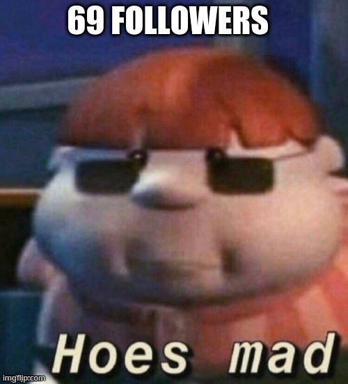 hoes mad | 69 FOLLOWERS | image tagged in hoes mad | made w/ Imgflip meme maker