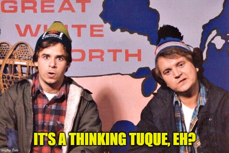 Canada | IT'S A THINKING TUQUE, EH? | image tagged in canada | made w/ Imgflip meme maker