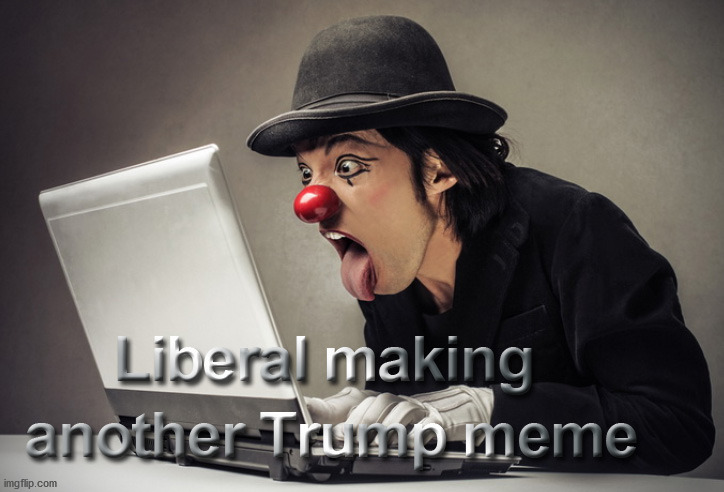 Making Memes | image tagged in stupid liberals,clown car democrats | made w/ Imgflip meme maker