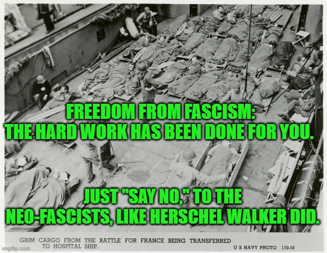 Fine people on both sides oppose neo-fascism. | FREEDOM FROM FASCISM:
THE HARD WORK HAS BEEN DONE FOR YOU. JUST "SAY NO," TO THE NEO-FASCISTS, LIKE HERSCHEL WALKER DID. | image tagged in politics | made w/ Imgflip meme maker