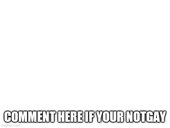 Blank White Template | COMMENT HERE IF YOUR NOTGAY | image tagged in blank white template | made w/ Imgflip meme maker