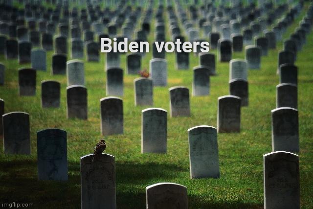 graveyard cemetary | Biden voters | image tagged in graveyard cemetary | made w/ Imgflip meme maker