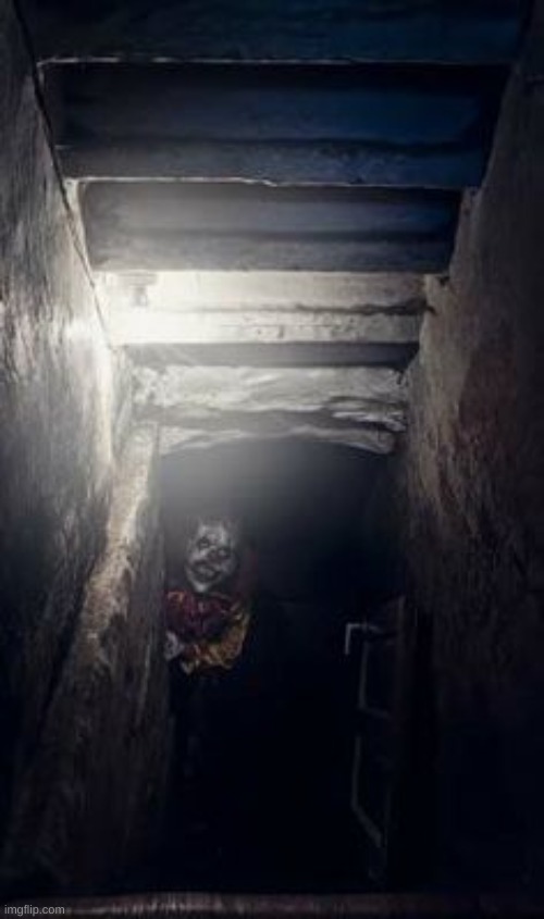 Basement Clown | image tagged in basement clown | made w/ Imgflip meme maker