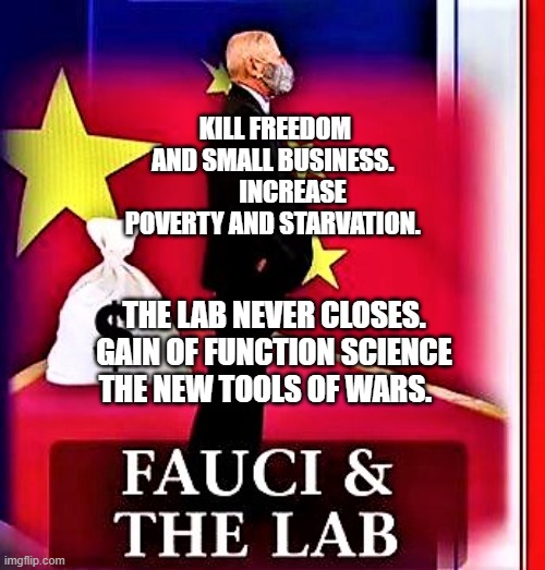 fauci & the lab | KILL FREEDOM AND SMALL BUSINESS.         INCREASE POVERTY AND STARVATION. THE LAB NEVER CLOSES. GAIN OF FUNCTION SCIENCE THE NEW TOOLS OF WARS. | image tagged in fauci the lab | made w/ Imgflip meme maker