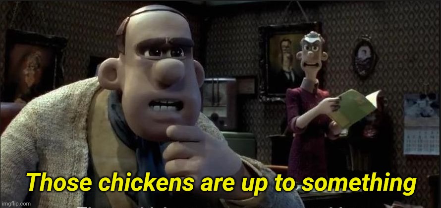 Those chickens are up to something | Those chickens are up to something | image tagged in those chickens are up to something | made w/ Imgflip meme maker
