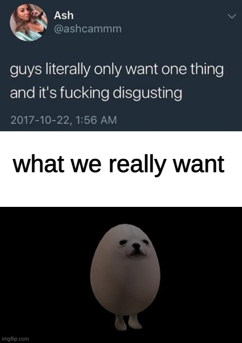 what we really want | image tagged in guys only want one thing,egg dog | made w/ Imgflip meme maker