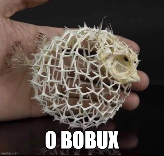 0 bobux blowfish | 0 BOBUX | image tagged in roblox meme,bobux,skeleton,blowfish,money,0 bobux | made w/ Imgflip meme maker