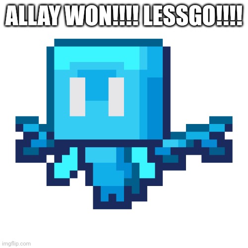 Vote Allay! | ALLAY WON!!!! LESSGO!!!! | image tagged in vote allay | made w/ Imgflip meme maker