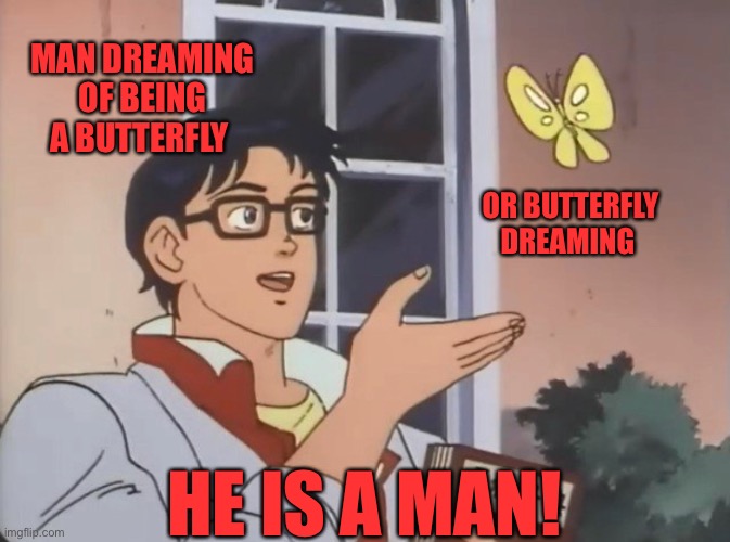 Proverb | MAN DREAMING OF BEING A BUTTERFLY; OR BUTTERFLY DREAMING; HE IS A MAN! | image tagged in is this a bird | made w/ Imgflip meme maker