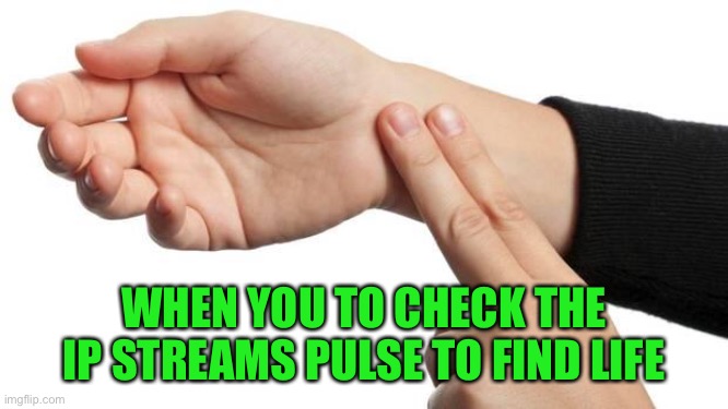 Pulse | WHEN YOU TO CHECK THE IP STREAMS PULSE TO FIND LIFE | image tagged in pulse | made w/ Imgflip meme maker
