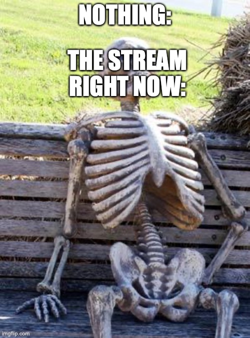 Waiting Skeleton | NOTHING:; THE STREAM RIGHT NOW: | image tagged in memes,waiting skeleton | made w/ Imgflip meme maker
