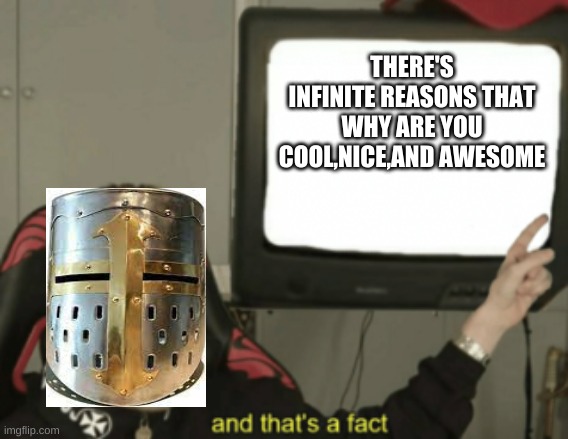 and everything else that not an insult | THERE'S INFINITE REASONS THAT WHY ARE YOU COOL,NICE,AND AWESOME | image tagged in and that's a fact,crusader | made w/ Imgflip meme maker