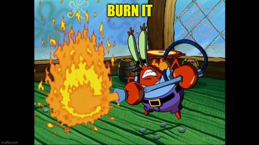 Burn It / It Spoiled | BURN IT | image tagged in burn it / it spoiled | made w/ Imgflip meme maker