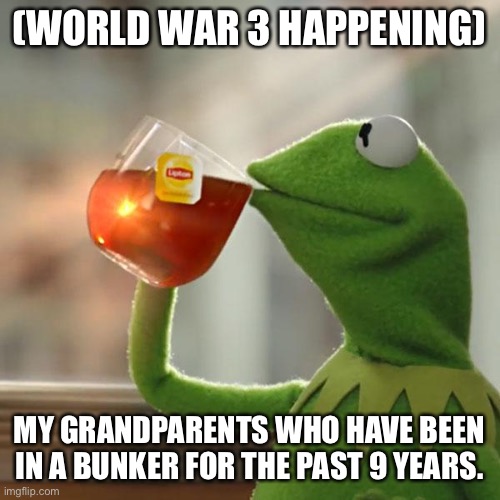 But That's None Of My Business | (WORLD WAR 3 HAPPENING); MY GRANDPARENTS WHO HAVE BEEN IN A BUNKER FOR THE PAST 9 YEARS. | image tagged in memes,but that's none of my business,kermit the frog | made w/ Imgflip meme maker