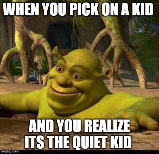 You F**ked up big time if you did this |  WHEN YOU PICK ON A KID; AND YOU REALIZE ITS THE QUIET KID | image tagged in shreck | made w/ Imgflip meme maker