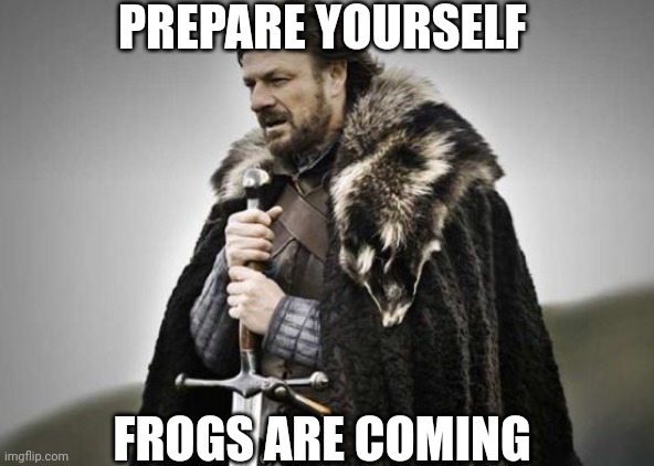 *ribbet* | PREPARE YOURSELF; FROGS ARE COMING | image tagged in prepare yourself,the wild update | made w/ Imgflip meme maker