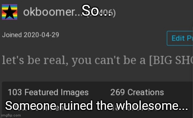 Okboomer template v3 | So... Someone ruined the wholesome... | image tagged in okboomer template v3 | made w/ Imgflip meme maker