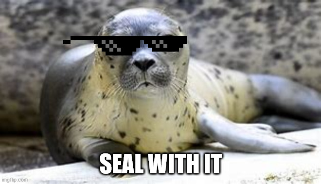 Seal with it (i want this on a t-shirt lol) | SEAL WITH IT | image tagged in seal,deal with it,pixel | made w/ Imgflip meme maker